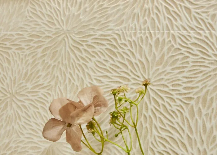 Casa Patio La Magdalena *